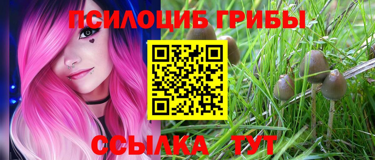 Псилоцибиновые грибы Cubensis Острогожск