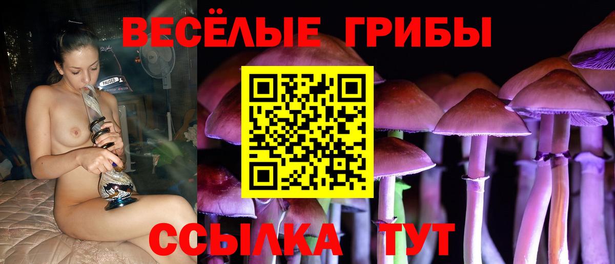 Острогожск  Псилоцибиновые грибы ЛСД  Галлюциногенные грибы мухоморы  Вход с VPN 